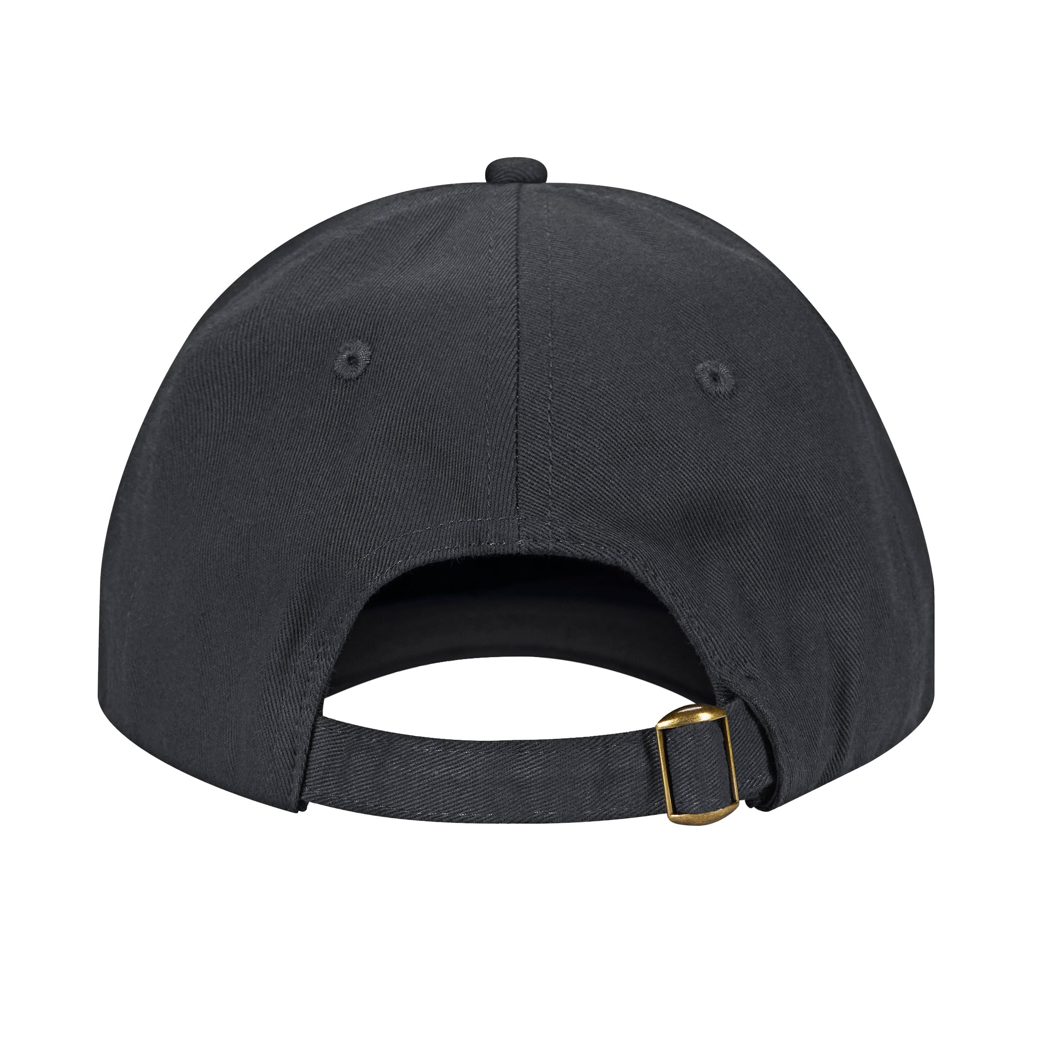 Canada Sportswear-H08215 cap in Charcoal