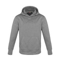CX2 L0687Y, - Palm Aire - Youth Polyester Pullover Hooded Sweatshirt, Grey