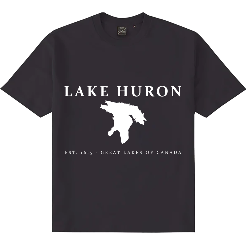 Lake Huron - Constantia Vintage T-Shirt, Graphite