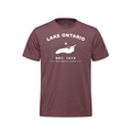 Lake Ontario - Collegiate Youth Tee, Maroon Heather