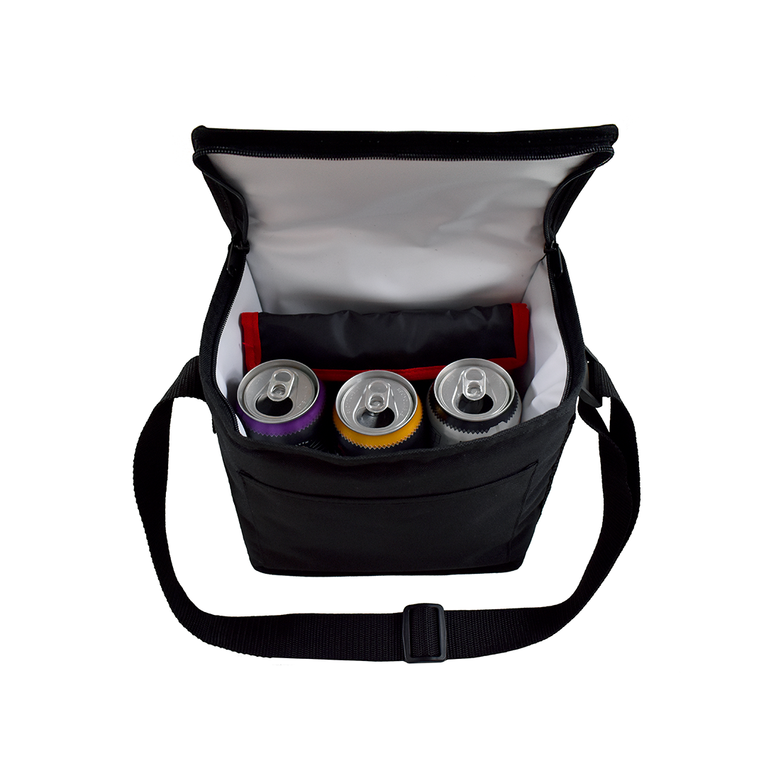 Ecorite SD1550, Recycled Pet 6 Can Cooler, Default