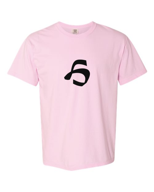 Alphabet H T-Shirt 9 inch calligraphy Black ink, Blossom