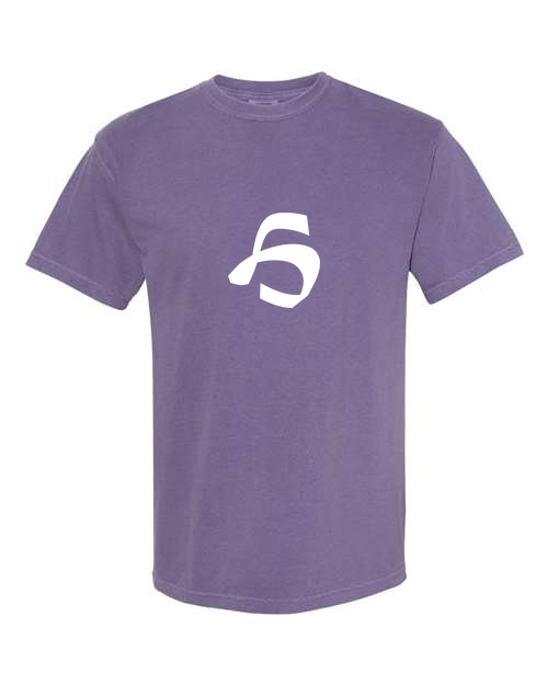 Alphabet H T-Shirt 9 inch calligraphy White ink, Grape