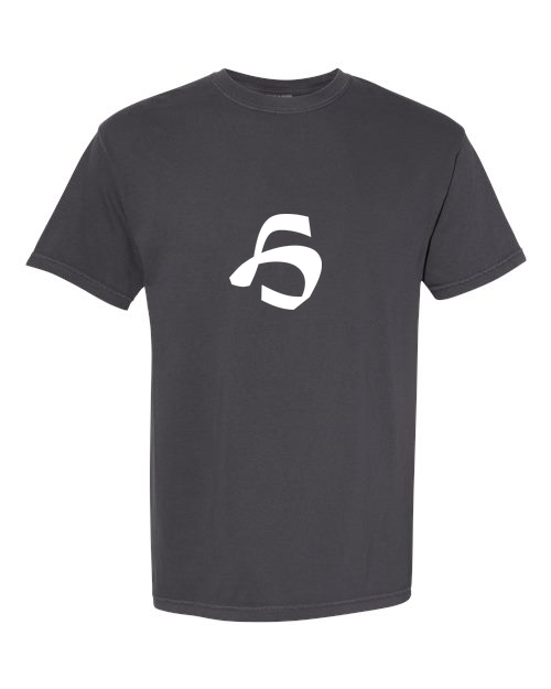 Alphabet H T-Shirt 9 inch calligraphy White ink, Graphite