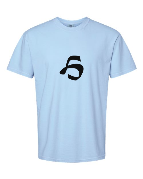 Alphabet H T-Shirt 9 inch calligraphy Black ink, Hydrangea