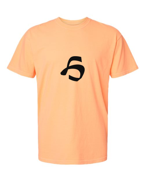 Alphabet H T-Shirt 9 inch calligraphy Black ink, Neon Cantaloupe