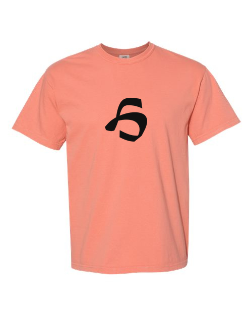 Alphabet H T-Shirt 9 inch calligraphy Black ink, Terracotta