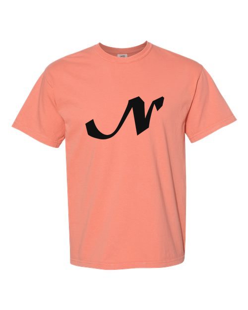 Alphabet N T-Shirt 9 inch calligraphy Black ink, Terracotta