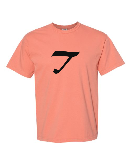 Alphabet T T-Shirt 9 inch calligraphy Black ink, Terracotta