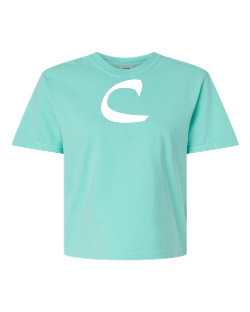 Alphabet C T-Shirt 9 inch calligraphy White ink, Chalky Mint