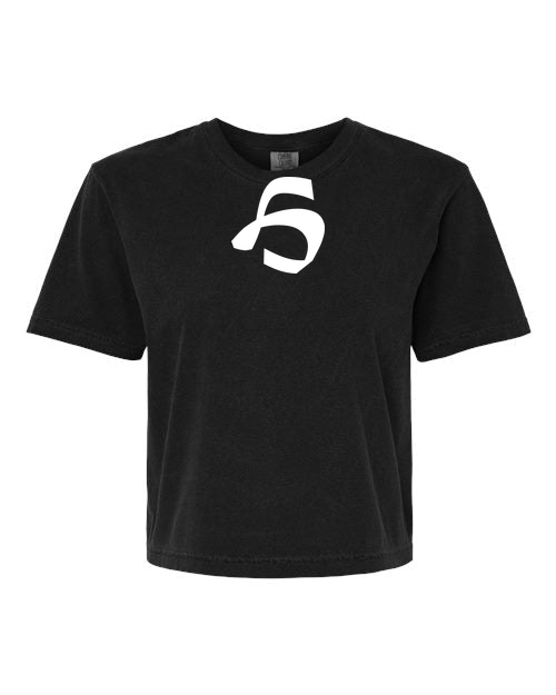 Alphabet H T-Shirt 9 inch calligraphy White ink, Black
