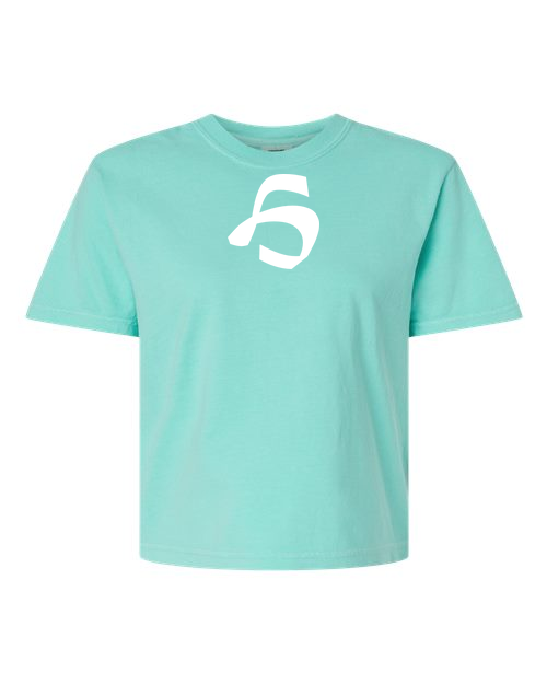 Alphabet H T-Shirt 9 inch calligraphy White ink, Chalky Mint