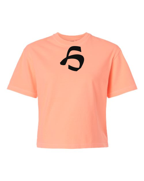 Alphabet H T-Shirt 9 inch calligraphy Black ink, Neon Cantaloupe