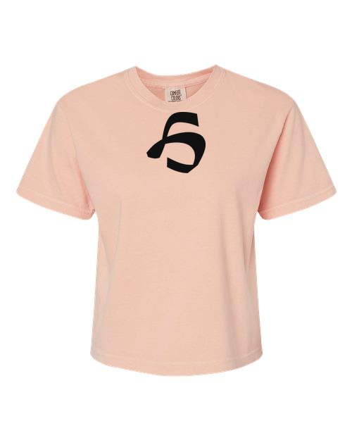 Alphabet H T-Shirt 9 inch calligraphy Black ink, Peachy