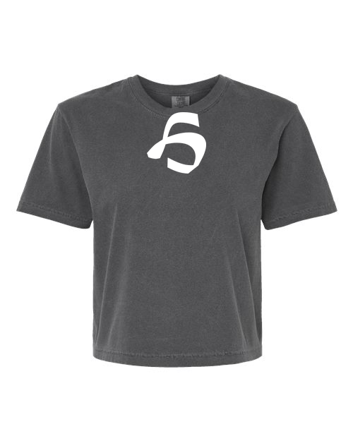 Alphabet H T-Shirt 9 inch calligraphy White ink, Pepper