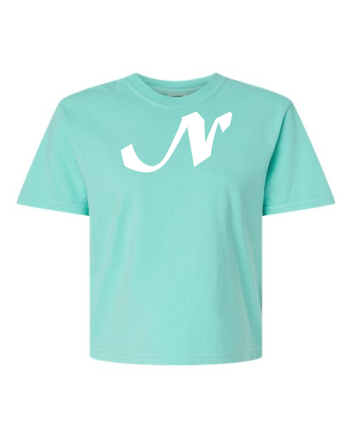 Alphabet N T-Shirt 9 inch calligraphy White ink, Chalky Mint